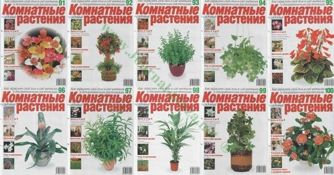 Комнатные растения №91-100